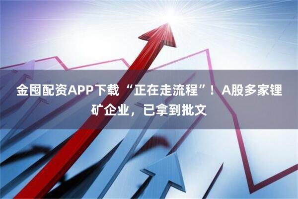 金囤配资APP下载 “正在走流程”！A股多家锂矿企业，已拿到批文