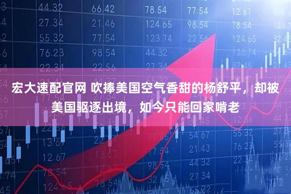 宏大速配官网 吹捧美国空气香甜的杨舒平，却被美国驱逐出境，如今只能回家啃老